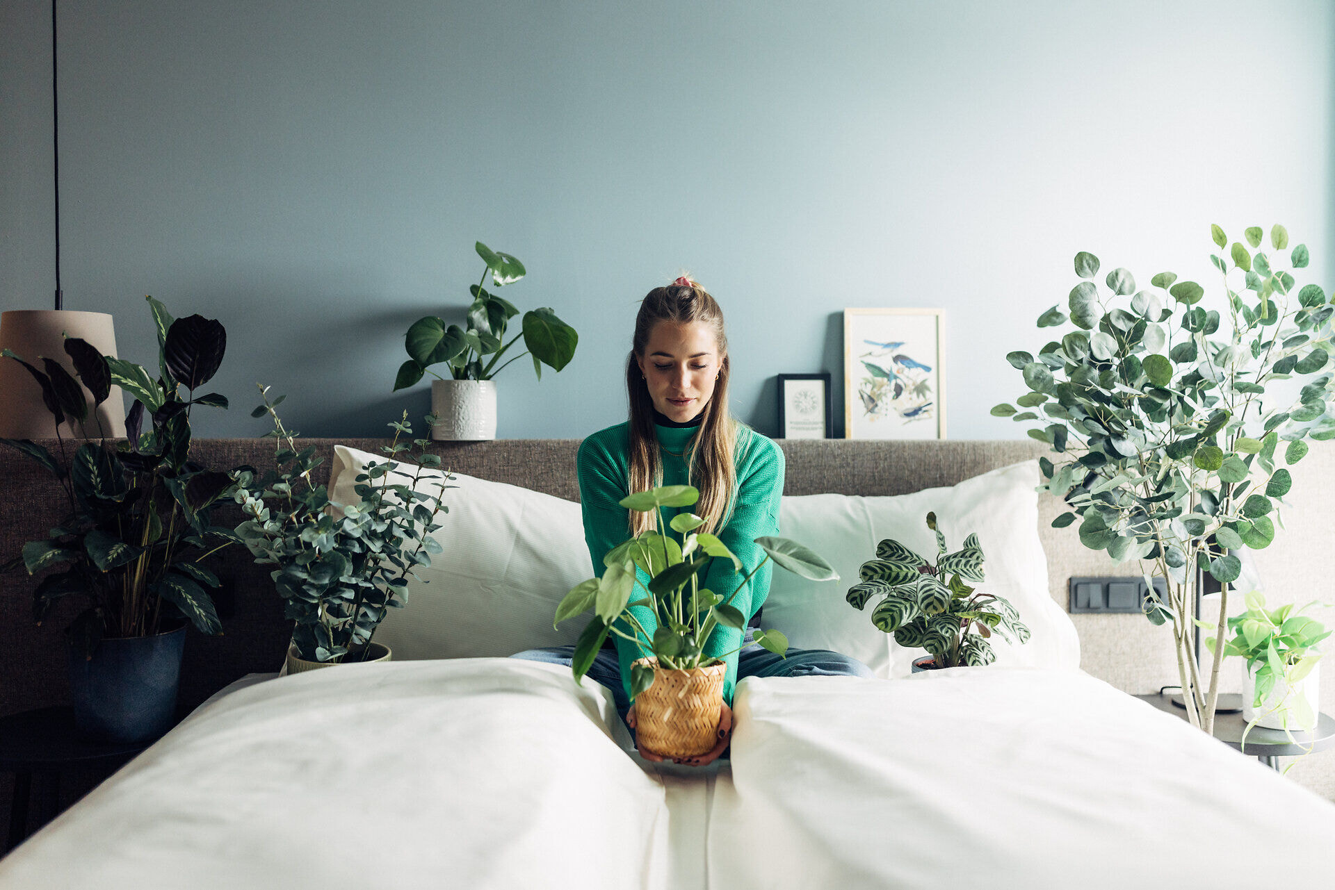 harrys_home_graz_2025_danielzangerl-_531