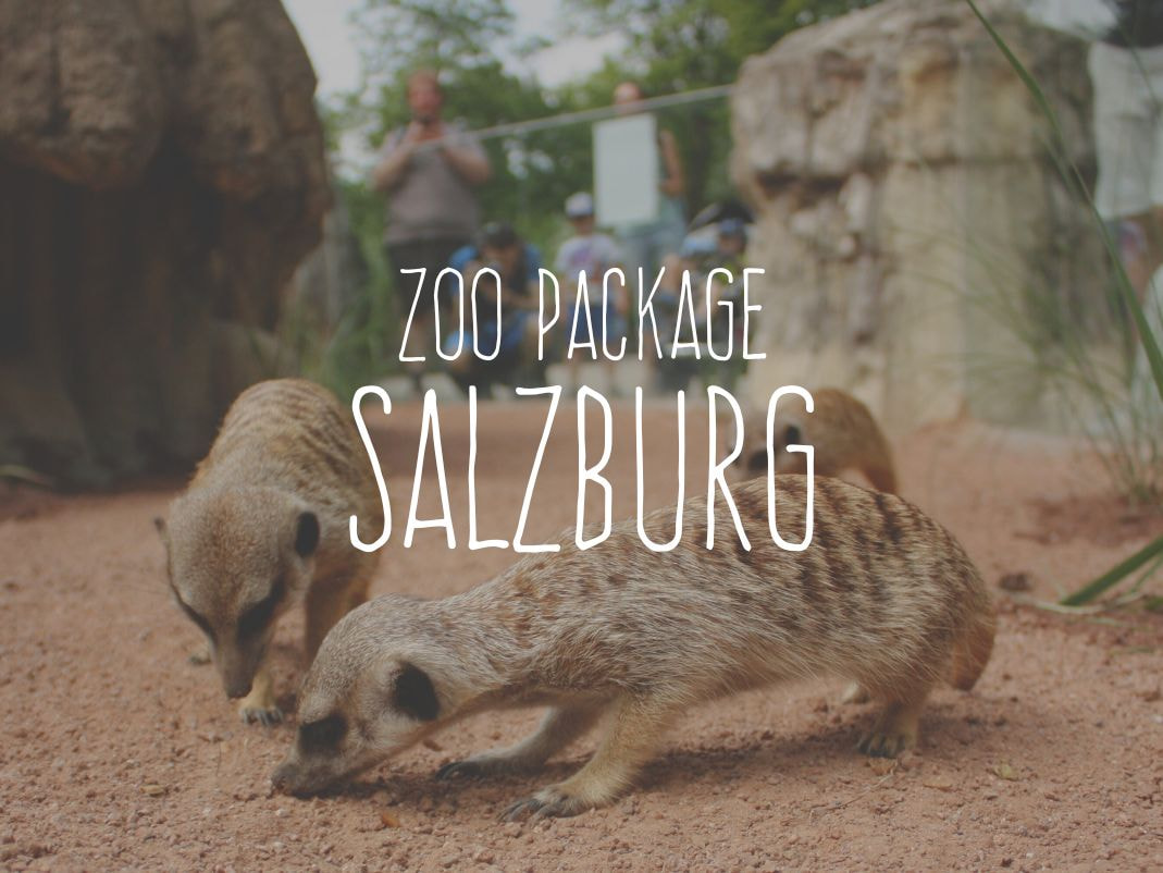 Bild des Zimmers Standardzimmer | Zoo Package