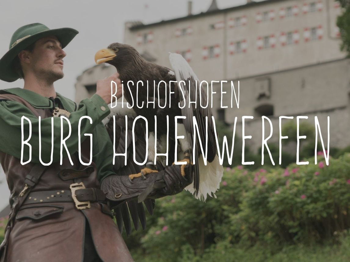 Bild des Zimmers Studio | Burg Hohenwerfen Package  