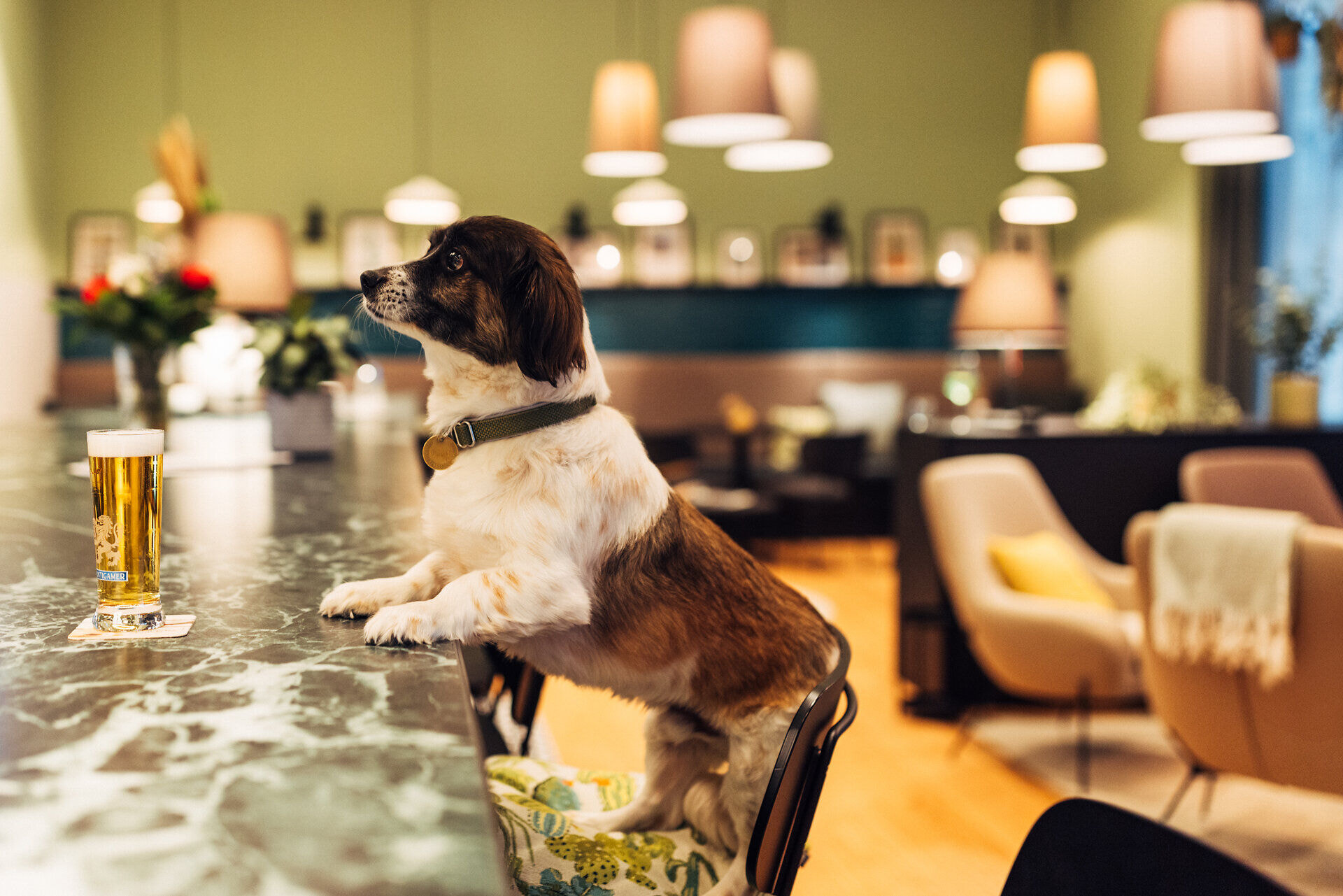 harrys_home_graz_2025_danielzangerl-_200