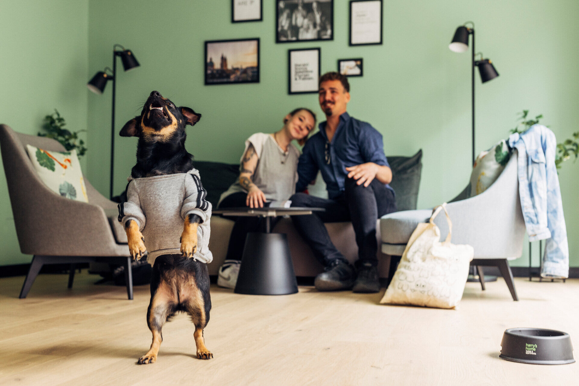 harryshome_23_berlin_danielzangerl-_323