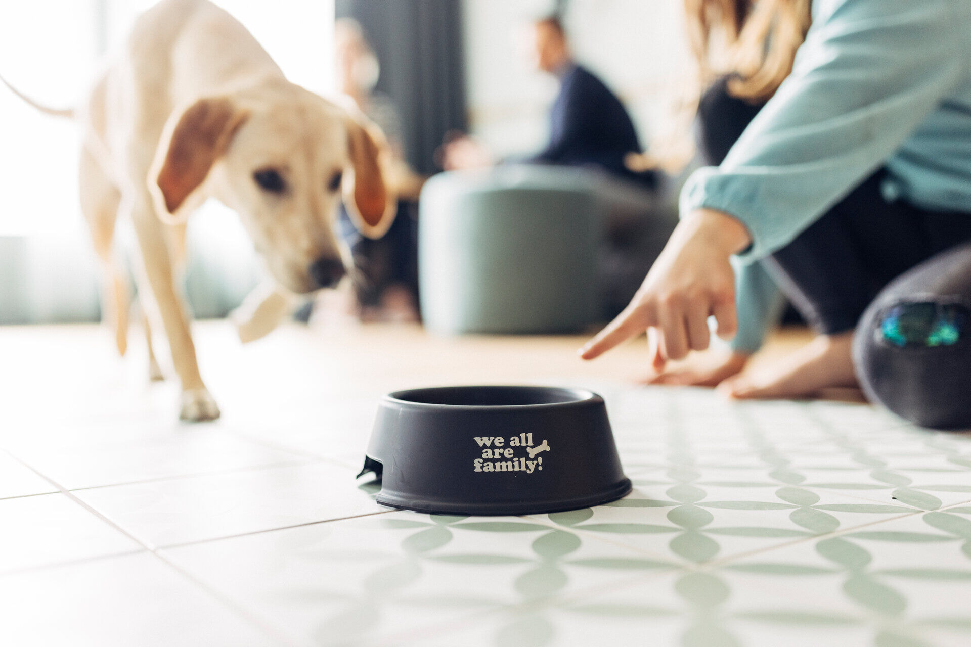 harryshome_23_villach_danielzangerl-_183