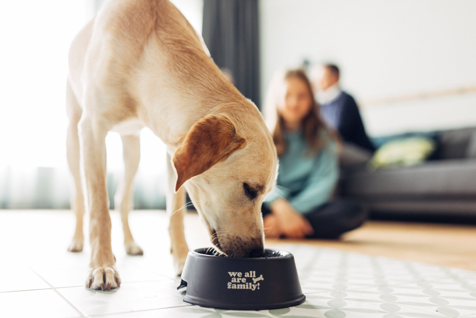 harryshome_23_villach_danielzangerl-_184