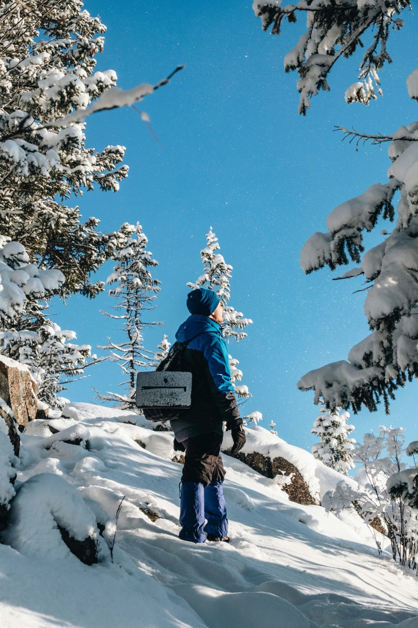 dmitrii-shirnin-5dahujbrfX4-unsplash