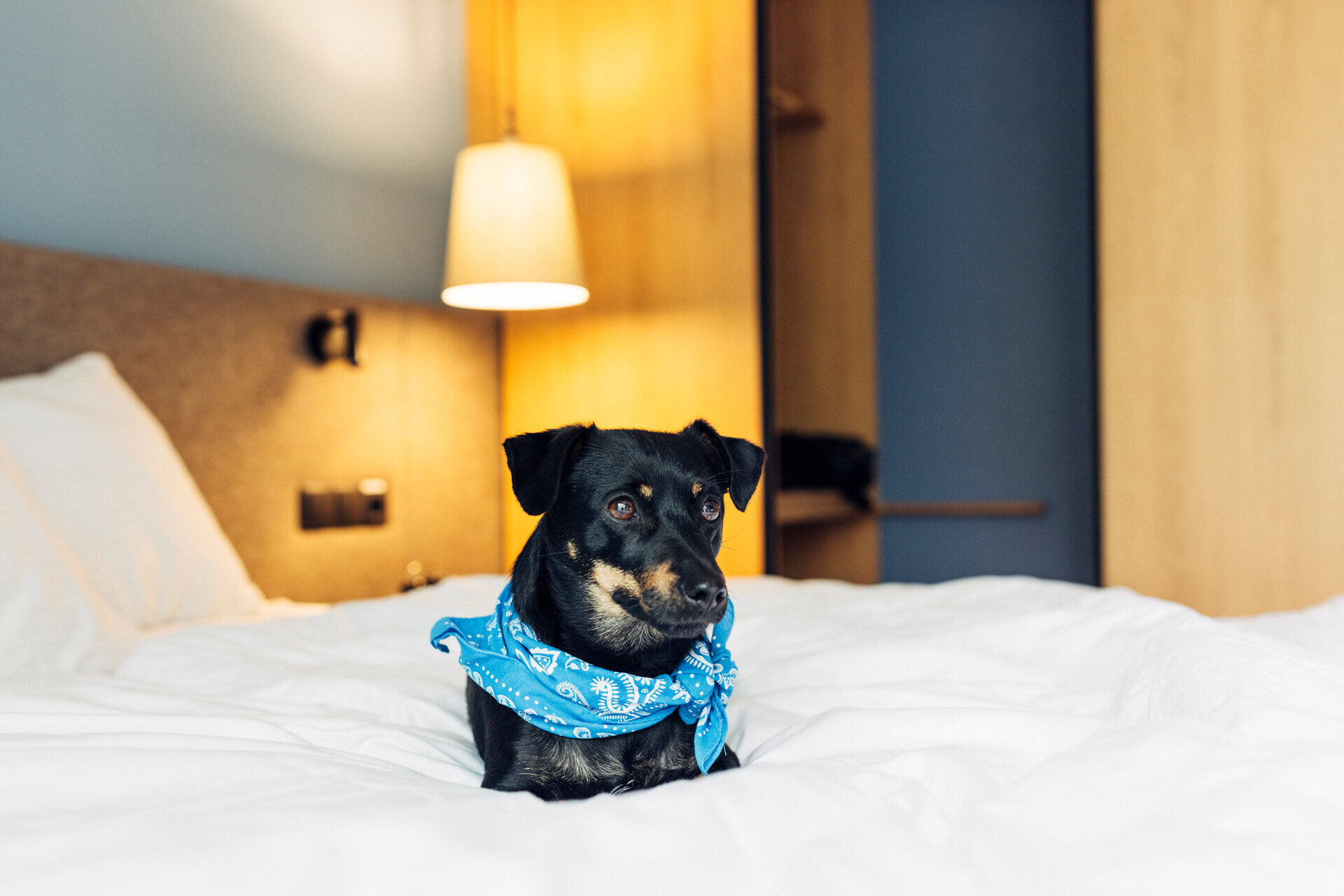 harryshome_23_berlin_danielzangerl-_395