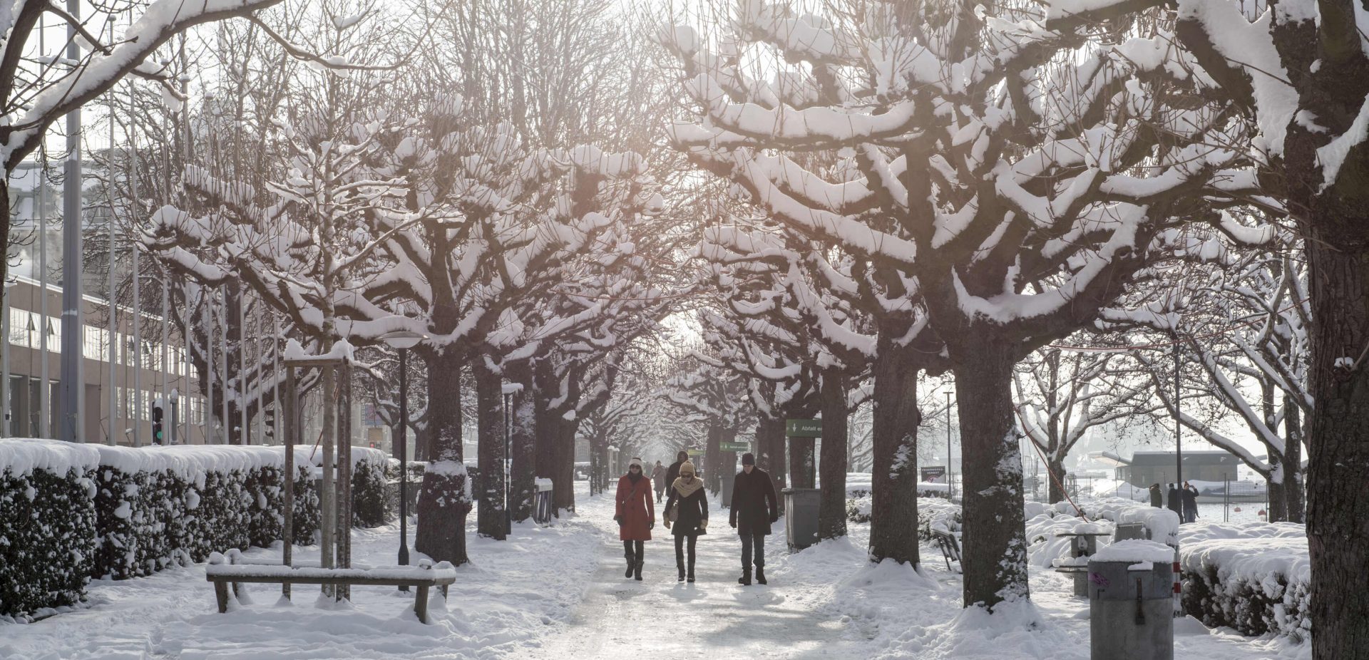 Schnee, spazieren, Baum, Seepromenade